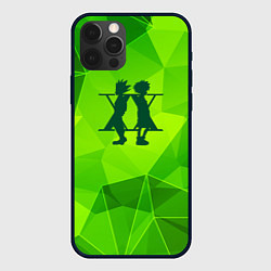 Чехол для iPhone 12 Pro Hunter x Hunter green poly, цвет: 3D-черный