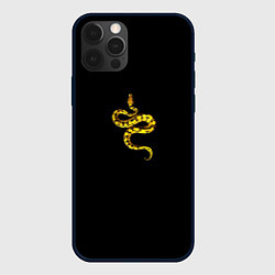Чехол для iPhone 12 Pro Символ Нового 2025 года змея, цвет: 3D-черный