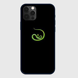 Чехол для iPhone 12 Pro Символ Нового 2025 года зеленая змея, цвет: 3D-черный