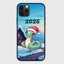 Чехол для iPhone 12 Pro Новый год змейка 2025, цвет: 3D-черный