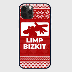 Чехол для iPhone 12 Pro Новогодний Limp Bizkit, цвет: 3D-черный