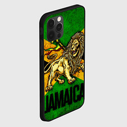 Чехол для iPhone 12 Pro Jamaica lion flag, цвет: 3D-черный — фото 2