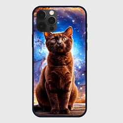 Чехол для iPhone 12 Pro Бурма в космосе, цвет: 3D-черный