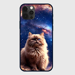 Чехол для iPhone 12 Pro Гималайская кошка в космосе, цвет: 3D-черный