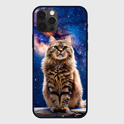 Чехол для iPhone 12 Pro Сибирская кошка в космосе, цвет: 3D-черный