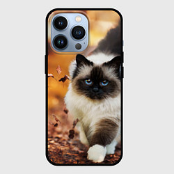 Чехол для iPhone 13 Pro Котик в листьях, цвет: 3D-черный