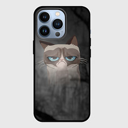 Чехол iPhone 13 Pro Grumpy Cat