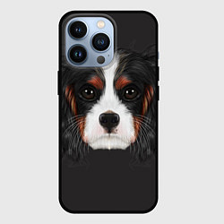 Чехол для iPhone 13 Pro Cavalier King Charles, цвет: 3D-черный