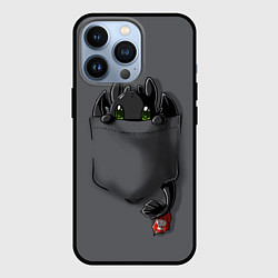 Чехол для iPhone 13 Pro Фурия в кармане, цвет: 3D-черный
