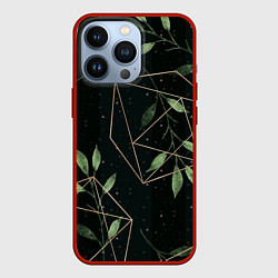 Чехол для iPhone 13 Pro Геометрия в природе, цвет: 3D-красный