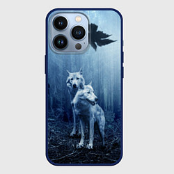 Чехол для iPhone 13 Pro Волки в тёмном лесу, цвет: 3D-тёмно-синий