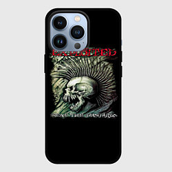 Чехол для iPhone 13 Pro The Exploited, цвет: 3D-черный
