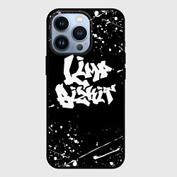 Чехол iPhone 13 Pro LIMP BIZKIT