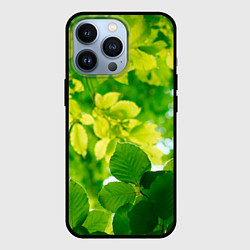 Чехол для iPhone 13 Pro Листья, цвет: 3D-черный