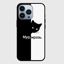 Чехол для iPhone 13 Pro Черный кот, цвет: 3D-черный