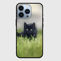 Чехол для iPhone 13 Pro Черный кот на лугу, цвет: 3D-черный