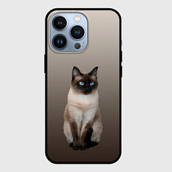 Чехол iPhone 13 Pro Сиамский кот голубые глаза
