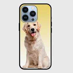Чехол для iPhone 13 Pro Лабрадор ретривер пес, цвет: 3D-черный