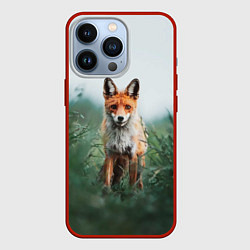 Чехол для iPhone 13 Pro Лисица в зелени, цвет: 3D-красный
