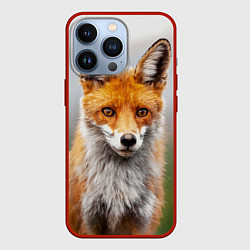 Чехол для iPhone 13 Pro Рыжая лисица, цвет: 3D-красный