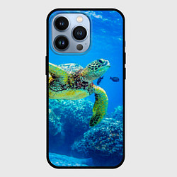 Чехол для iPhone 13 Pro Морская черепаха, цвет: 3D-черный