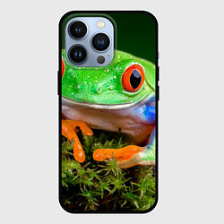 Чехол для iPhone 13 Pro Тропическая лягушка, цвет: 3D-черный