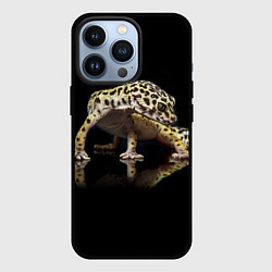 Чехол для iPhone 13 Pro ЭУБЛЕФАР EUBLEPHARIS, цвет: 3D-черный