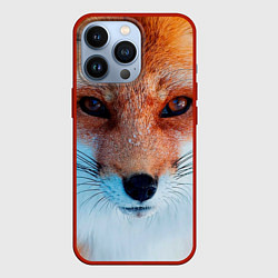 Чехол для iPhone 13 Pro Мордочка лисы, цвет: 3D-красный