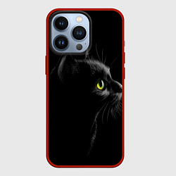 Чехол для iPhone 13 Pro Черный кот, цвет: 3D-красный