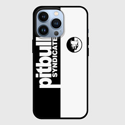 Чехол для iPhone 13 Pro PITBULL SYNDICATE ПИТБУЛЬ, цвет: 3D-черный