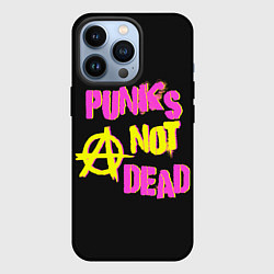 Чехол для iPhone 13 Pro Панк анархия, цвет: 3D-черный