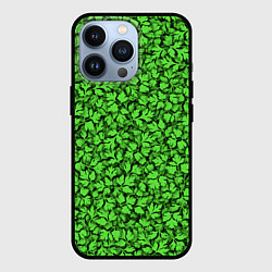 Чехол для iPhone 13 Pro Кинза, цвет: 3D-черный