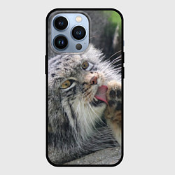 Чехол для iPhone 13 Pro Манул Лапка, цвет: 3D-черный