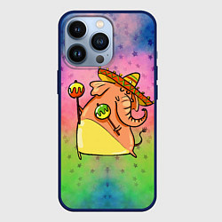 Чехол для iPhone 13 Pro Мексиканский веселый слон, цвет: 3D-тёмно-синий