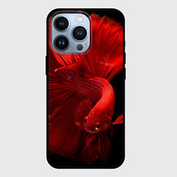 Чехол для iPhone 13 Pro Бойцовская-рыбка, цвет: 3D-черный