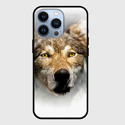 Чехол для iPhone 13 Pro Волк: зима, цвет: 3D-черный