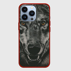 Чехол iPhone 13 Pro Крупная морда серого волка