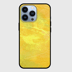 Чехол для iPhone 13 Pro Осенние краски, цвет: 3D-черный