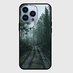Чехол для iPhone 13 Pro Дорога в лес, цвет: 3D-черный