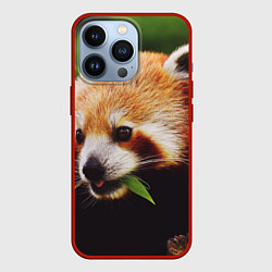 Чехол для iPhone 13 Pro Красная милая панда, цвет: 3D-красный
