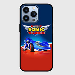 Чехол для iPhone 13 Pro Team Sonic Racing - Ёжик и его точило, цвет: 3D-черный