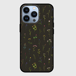 Чехол iPhone 13 Pro Полевые растения на темном фоне