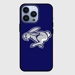 Чехол для iPhone 13 Pro Бегущий кролик, цвет: 3D-черный