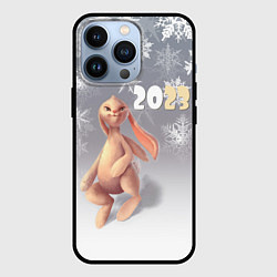 Чехол iPhone 13 Pro Славный кролик