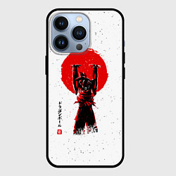 Чехол для iPhone 13 Pro Dragon Ball Сон Гоку, цвет: 3D-черный
