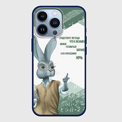 Чехол для iPhone 13 Pro Легенда про экзамен, цвет: 3D-тёмно-синий