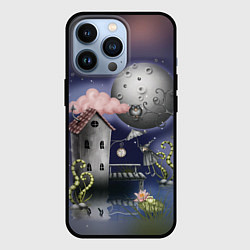 Чехол для iPhone 13 Pro Ночная сказка, цвет: 3D-черный