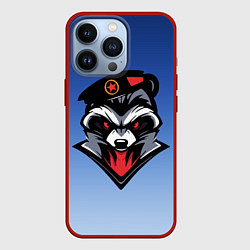 Чехол iPhone 13 Pro Морпех-енот