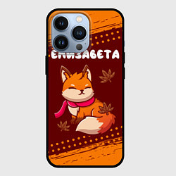 Чехол iPhone 13 Pro Елизавета осенняя лисичка