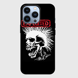 Чехол для iPhone 13 Pro Exploited - панк, цвет: 3D-черный